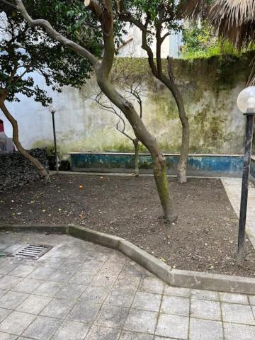 Coremi Hostel Napoli Ngoại thất bức ảnh