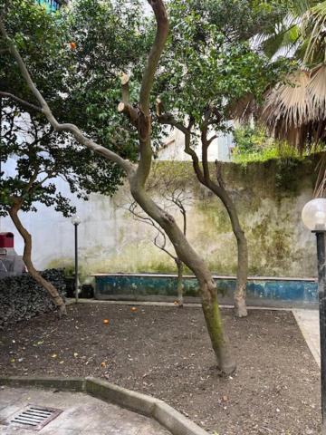 Coremi Hostel Napoli Ngoại thất bức ảnh